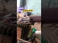 Tulu pump motor ka lied Connection karna sikhe #shortvideo #@Ainul #viral