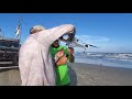 Gannet drone dropping bait of all sizes and what you need to know