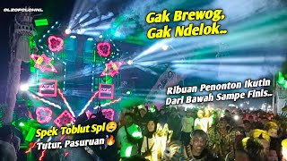 Yang Di Tunggu' Penonton Muncul🔥BREWOG AUDIO Otw Finis Ke 2 Karnaval Tutur Nongkojajar Pasuruan!!