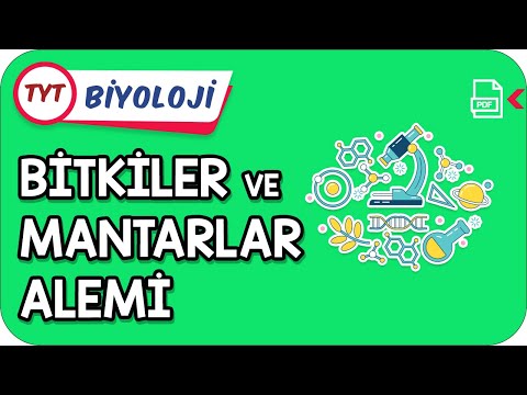 Bitkiler ve Mantarlar Alemi | TYT Hızlanış Kampı    #Kamp2021