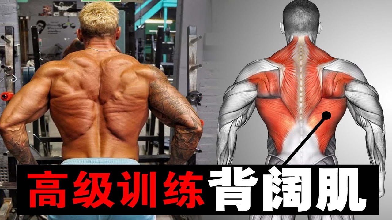 背阔肌高级强化训练,7个动作轰炸你的背部,提高背部整体力量 - YouTube