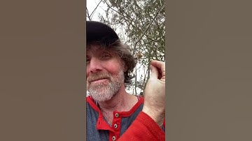 Metacognition #psychology #hermetics #mindfulness #manifestation #flow #empowerment