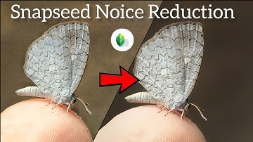 How to Remove Digital Noise in Snapseed 🔥 | Snapseed Hidden Feature 🤫
