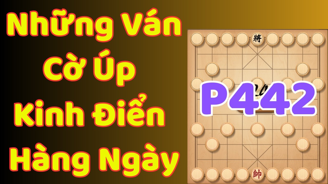 [Cờ Úp] Những Ván Cờ Úp Kinh Điển Hàng Ngày P442