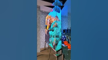 SIÊU PHẨM LED MAGIC 3D ĐỨNG, NGOÀI TRỜI - QUẢNG CÁO ĐỈNH CAO CÙNG LED MAGIC 3D