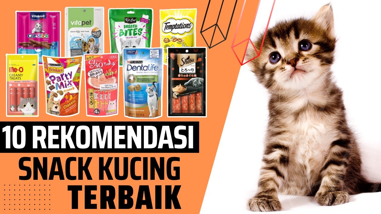 Rekomendasi Snack Kucing Murah Terbaik Agar Anabul Gembul Sehat