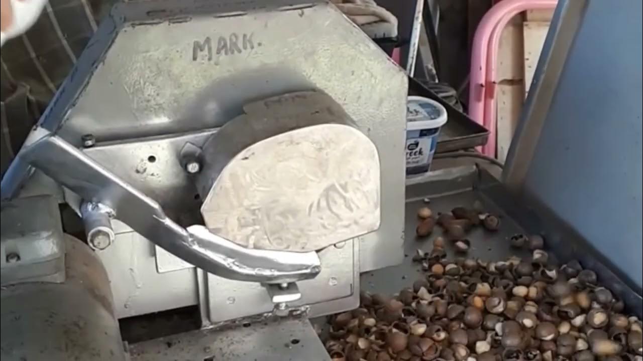 3 Macadamia Nut Cracking Machines for Sale with Trade Mark Tinana Qld