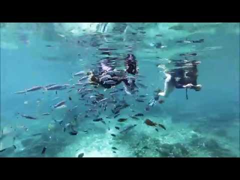 Hilutungan Island Marine Sanctuary,Cebu,Philippines