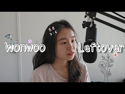 [Cover] SEVENTEEN Wonwoo - Leftover (휴지통) 커버