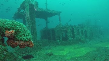 Ruby E Wreck San Deigo