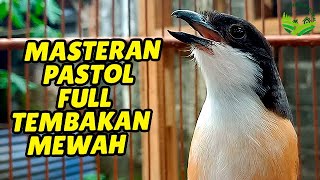 Masteran Suara Cendet No #1❗Masteran Suara Cendet Juara FULL Isian KEREN TERBAIK 2023