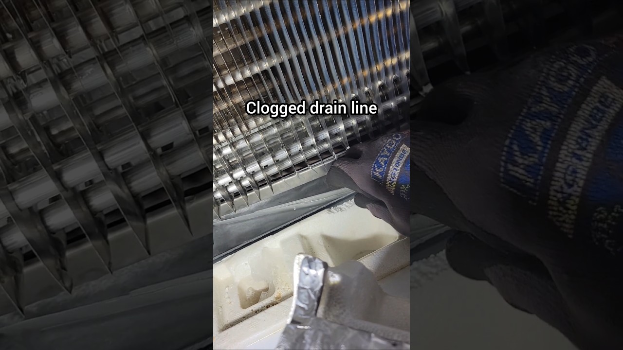 Real Reason of Rainforest in Your Fridge: Clogged Drain 