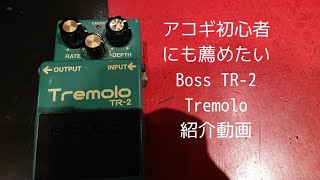 アコギ初心者にも薦めたい -BOSS TR-2 Tremolo紹介動画- - YouTube