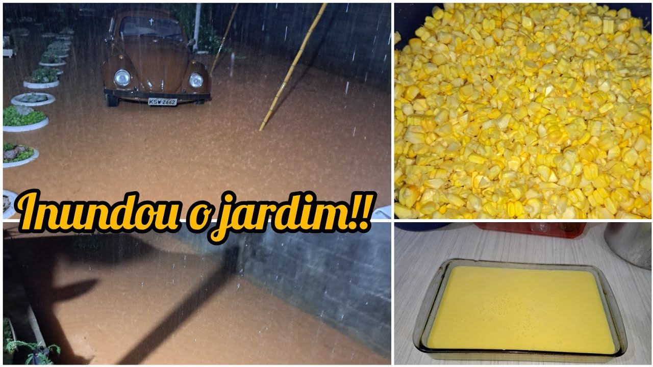 A ENCHENTE INUNDOU O JARDIM/FIZ CURAL DE MILHO