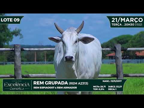 LOTE 09 REM A 2313