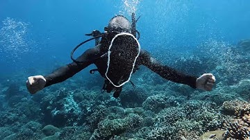 How To: HORIZONTAL BUBBLE RINGS | Scuba Diving