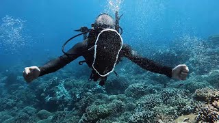 How To: HORIZONTAL BUBBLE RINGS | Scuba Diving by Nico Calo 31,711 views 2 years ago 1 minute, 30 seconds