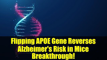 Flipping APOE Gene Reverses Alzheimer