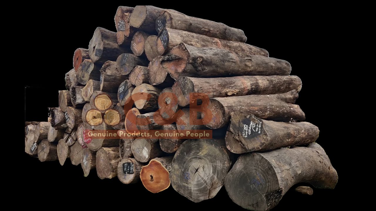 East Indian Walnut Logs 57