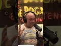 Joe Rogan claims the best fighters should ONLY be in the UFC. Agree or disagree? 🤔 #joerogan #ufc