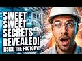 The Complete Sugar Journey | Inside Modern Sugar Processing Factories