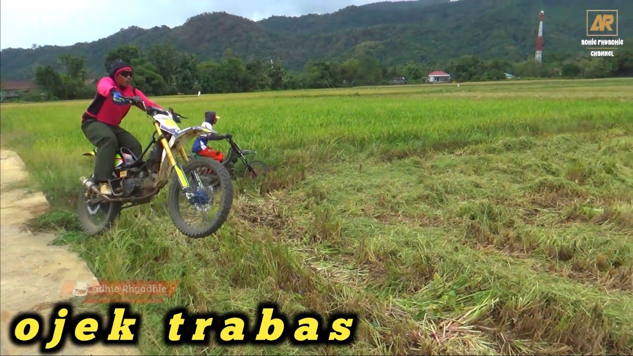 ojek sawah unjuk kebolehan mengangkut gabah dengan cepat