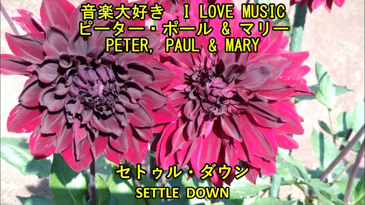  i love music peter paul mary settle