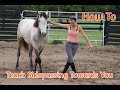 How To Teach Your Horse To Sidepass Towards You