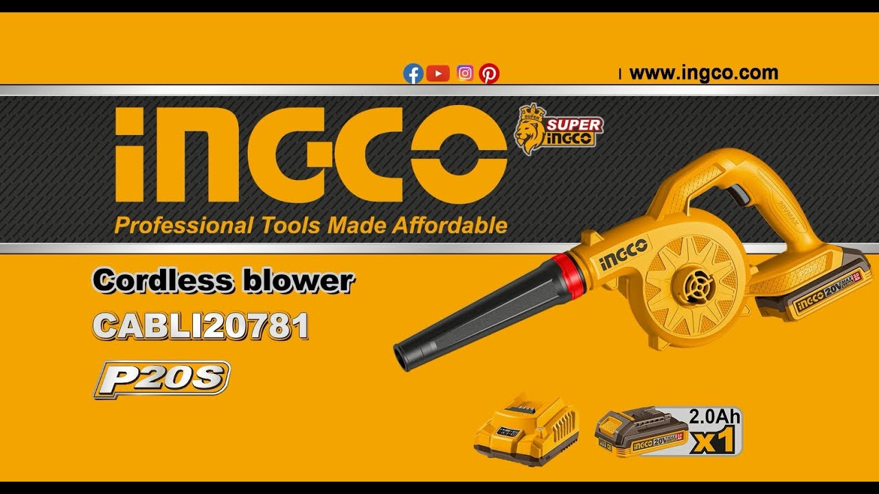 Picture of CABLI20781