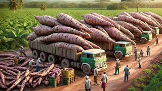 Como Os Agricultores Cultivam E Colhem Milhões De Toneladas De Mandioca - Agricultura
