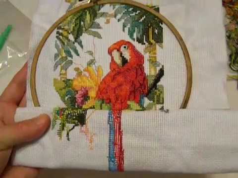 Вышивка схема попугаи