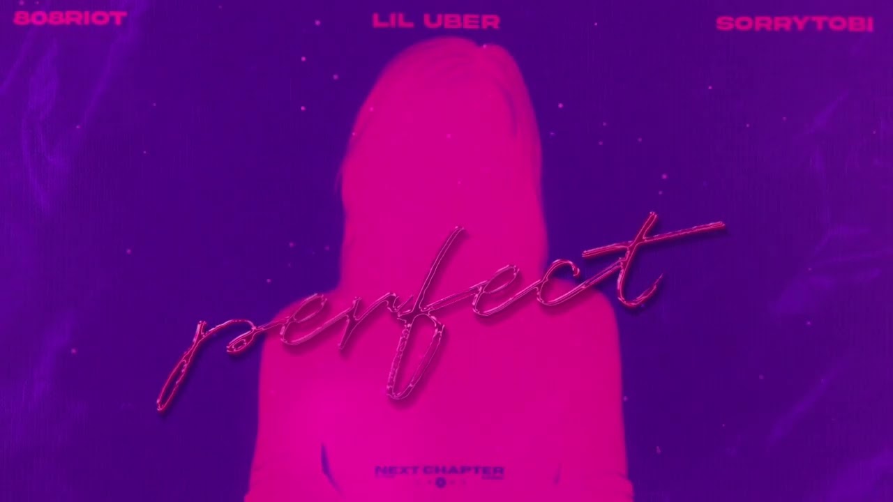 808Riot - Perfect (feat. Lil Uber & sorrytobi)