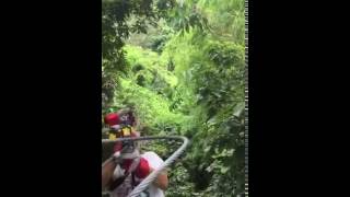 Jean Zip line Sainte Lucia