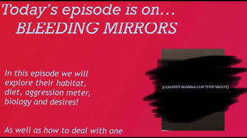 Mailbox 20 - Bleeding Mirrors (Ep. 3)