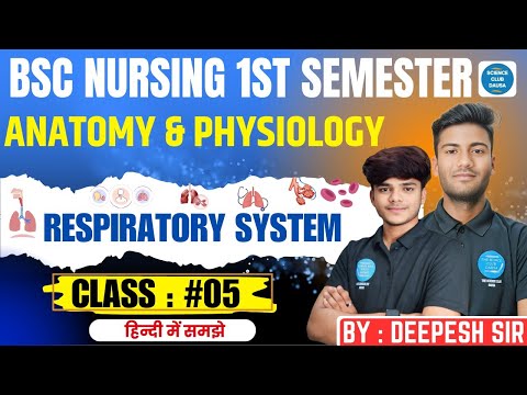 respiratory system BSC
