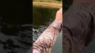 Whopper Plopper GIANT Pike Fishing! #fishing #shortvideos #short #shorts #saintcroixriver