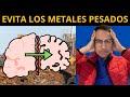 El PELIGRO de los METALES PESADOS y CÓMO EVITARLO