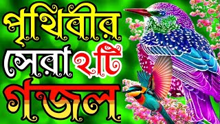 মনের মতো খুব সুন্দর সকলের পছন্দের সেরা দুইটি গজল | বাংলা গজল | Gozhal | Bangla Gojol | gojol | gojal