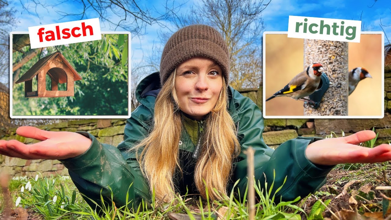 Warum Sie Vögel im Garten das ganze Jahr lang füttern sollten | MDR Garten