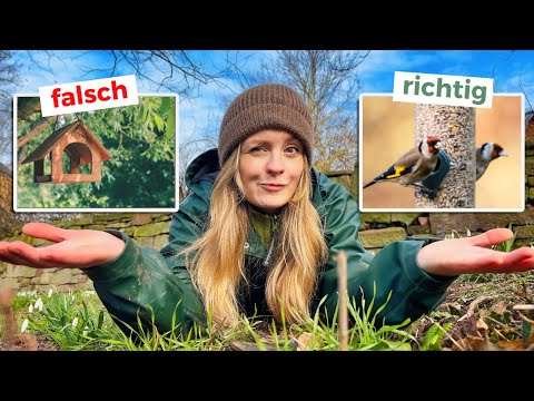 Video: Garten-Vogelhäuschen: Arten von Vogelhäuschen für den Garten