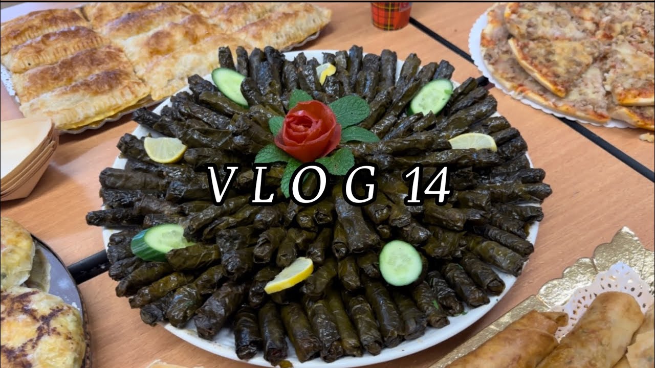 VLOG 14 :  TRYING SYRIAN AND MORROCAN CUISINE | EATING OUT | KARAOKE IN AMSTERDAM 🎤