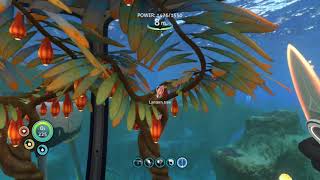 The Disease Facility! | Subnautica #20
I Hope you enjoyed this video! make sure to leave a like and tell me what I can improve on!
Other Channels and Stuff!
Wattpad: https://www.wattpad.com/user/SladerProductions
Mixer: https://mixer.com/SladerPro
RydersChannel:https://www.youtube.com/channel/UCQ1JqfnajD9hXKRpD4zM5tg The Disease Facility! | Subnautica #20