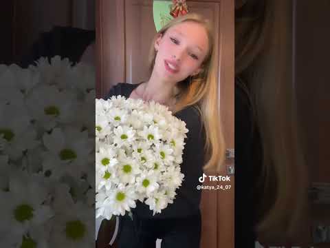 Красива дівчина Співає ромашки