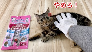 猫の全身を手袋シャンプーで撫でまくったらこうなりましたw