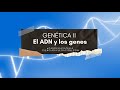 Genética II: El ADN y los genes