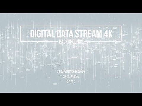Motion Graphics - Digital Data Stream White Backgrounds