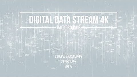 Motion Graphics - Digital Data Stream White Backgrounds