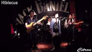 LIVE 20170923 1 Hibiscus