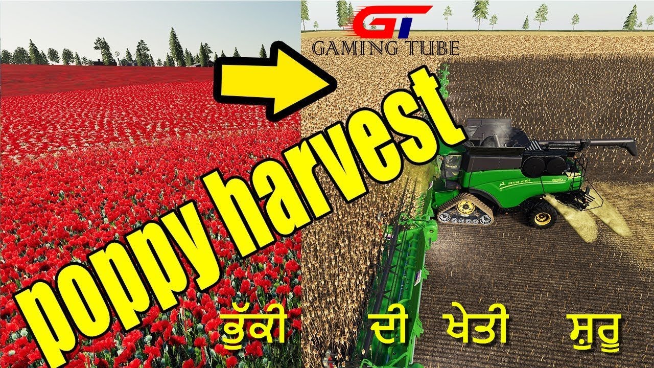 Farming Simulator 19 Amazing Poppy Harvesting in My Farm!!! । FS19 GamePlay 2020 । GamingTube ।