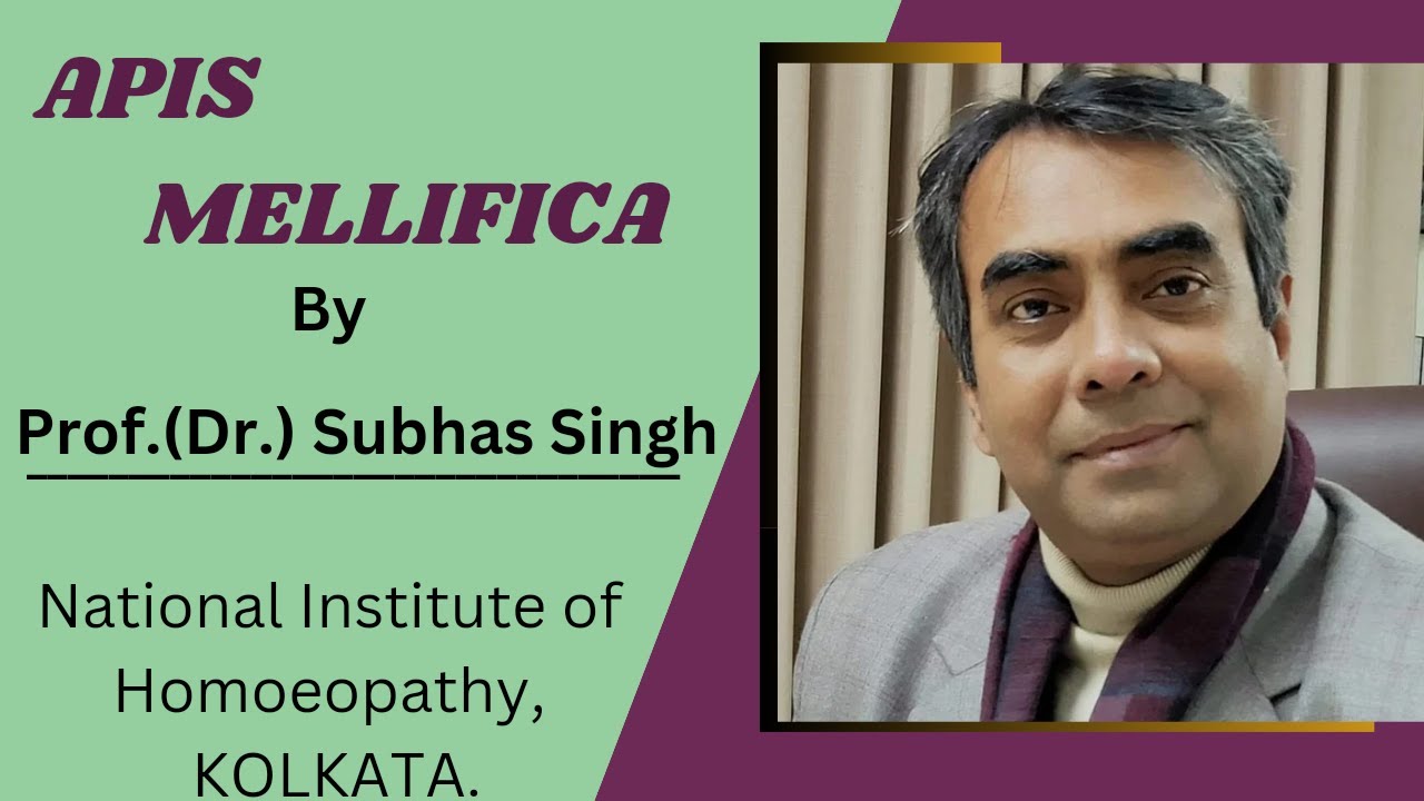 Apis mellifica - its symptomatology and clinical usage.